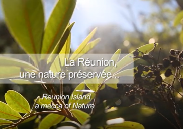 La Réunion, une nature préservée